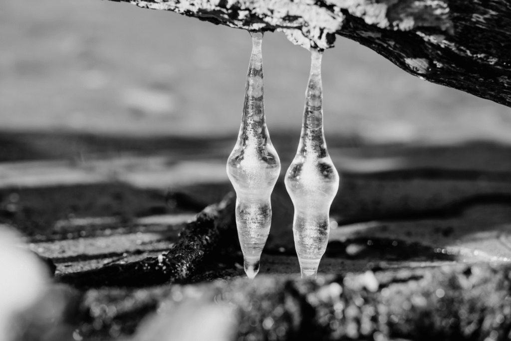 équité salariale