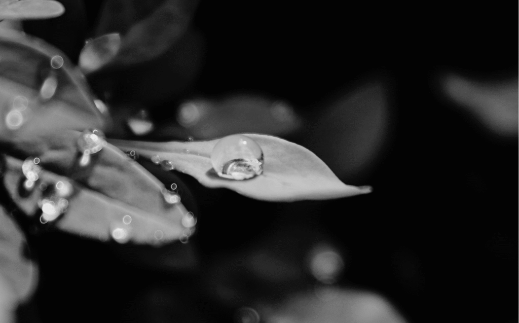 transparence salariale